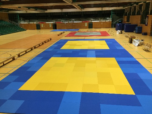 Ju-Jutsu: Kodokan Open Freitag