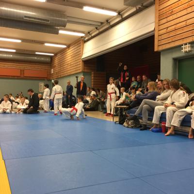 Img 1606