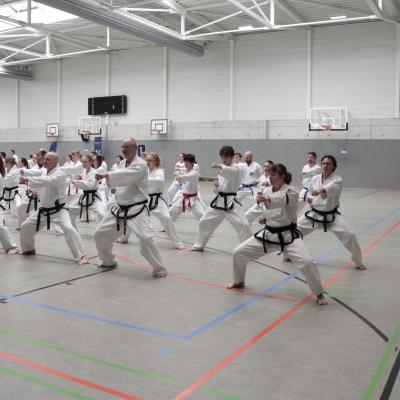 Kodokan Tkd Lg 28022026 Einheit 1 0018