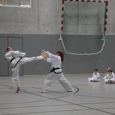 Kodokan Tkd Lg 28022026 Einheit 1 0163