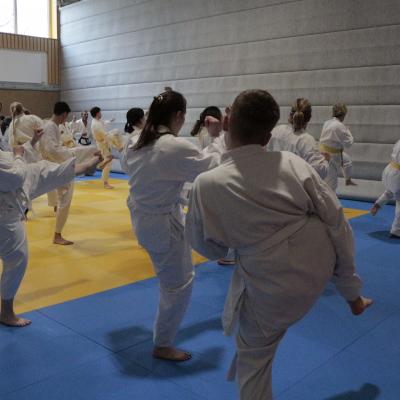 Kodokan Tkd Lg 28022026 Einheit 2 0032